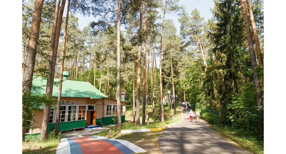 Модернизацию перед открытием сезона провели в детском лагере «Луч» Орехово-Зуевского округа